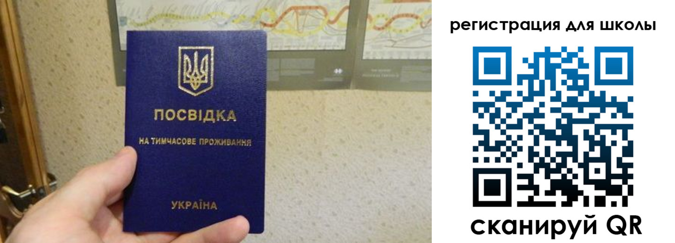 временная прописка в Реутове